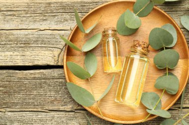 Kaliteli yağ ve okaliptüs yaprakları ahşap masada, düz yerde. Metin için boşluk