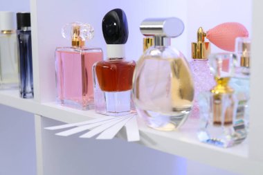 Dükkandaki raflarda farklı parfüm şişeleri ve parfümler var.