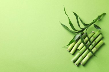 Açık yeşil arka planda bambu sapları ve yaprakları kes, düz uzan. Metin için boşluk