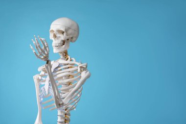 Artificial human skeleton model on light blue background, space for text