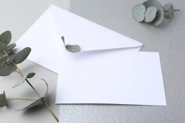 Boş tebrik kartı, kağıt zarf ve okaliptüs yaprakları açık gri arkaplanda, yakın plan