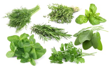 Beyaz arka planda farklı aromatik otlar, kolaj