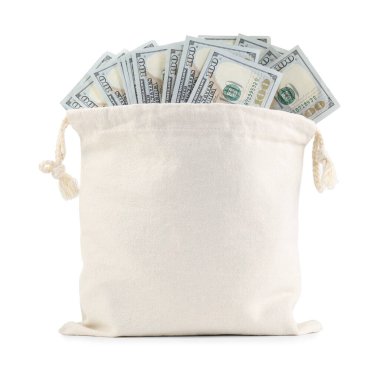 Dolar banknotları olan para çantası beyaza izole edilmiş.