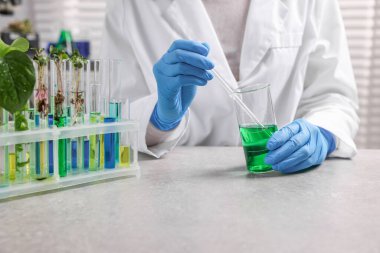 Biyokimya. Laboratuvarda, gri masada bitki ve sıvılarla çalışan bilim adamı.