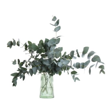 Beyaz vazodaki güzel okaliptüs dalları