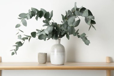 Güzel okaliptüs dalları vazoda beyaz duvarın yanındaki ahşap masada.