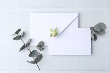 Boş tebrik kartı, kağıt zarf ve okaliptüs dalları ışık kartonlu arka plan, düz uzanma