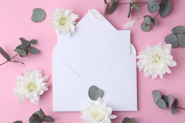 Kağıt zarftaki boş tebrik kartı, kasımpatı çiçekleri ve pembe arkaplanda okaliptüs dalları, düz uzanmış.