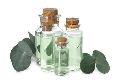 Beyaz üzerine izole edilmiş yağ ve okaliptüs yaprakları şişeleri.