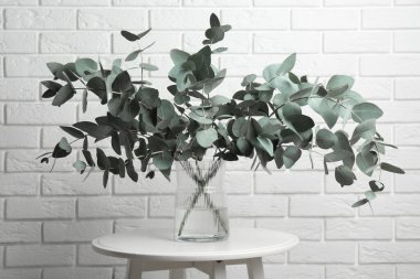 Beyaz tuğla duvarın yanındaki masada vazoda yeşil okaliptüs dalları var.