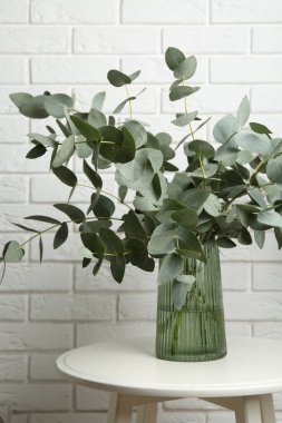 Beyaz tuğla duvarın yanındaki masada vazoda yeşil okaliptüs dalları var.