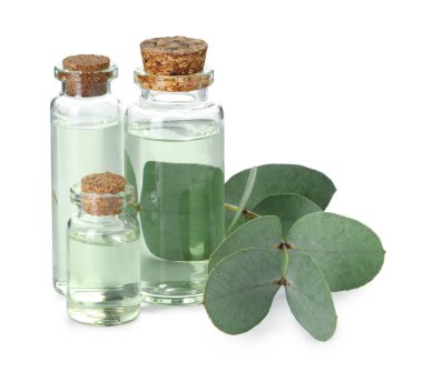 Beyaz üzerine izole edilmiş yağ ve okaliptüs yaprakları şişeleri.