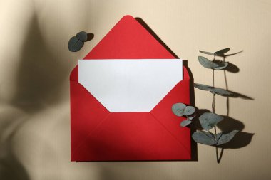 Kırmızı zarf içinde boş tebrik kartı ve bej arkaplanda okaliptüs yaprakları, düz uzanma