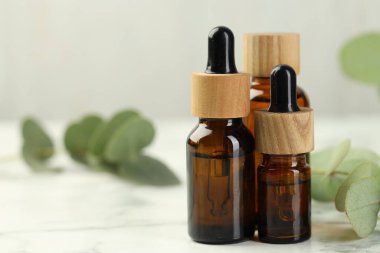 Gerekli yağ ve okaliptüs yaprakları beyaz mermer masanın üzerinde, yakın plan. Metin için boşluk