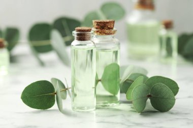 Gerekli yağ ve okaliptüs şişeleri beyaz mermer masa üzerinde, yakın çekim