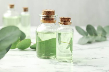 Gerekli yağ ve okaliptüs şişeleri beyaz mermer masa üzerinde, yakın çekim