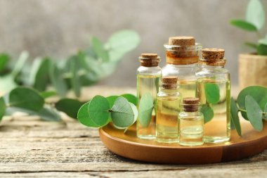 Kaliteli yağ ve okaliptüs yaprakları ahşap masada, yakın plan. Metin için boşluk