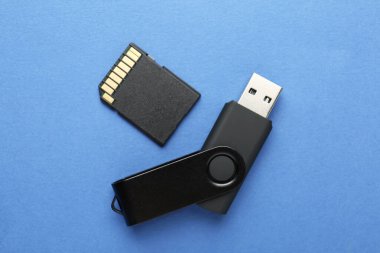 Mavi arkaplanda flaş bellek ve SD bellek kartı düz konum