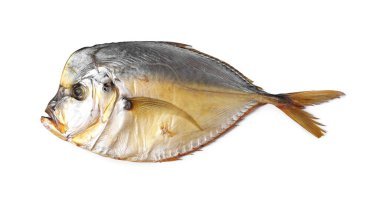 Kurutulmuş ay balığı beyazda izole, üst manzara