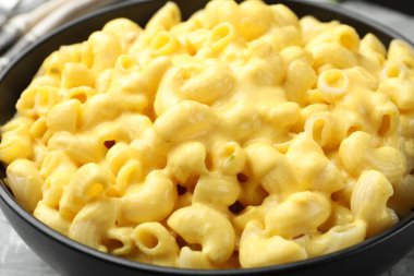 Masada peynir soslu leziz makarna, yakın plan.