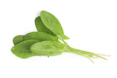 Taze yeşil kuş yaprakları beyaz, üst görünümde izole