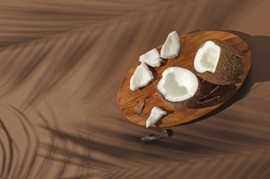 Taze hindistancevizi ve gölgesi bej arka planda tropikal palmiye tarafından yapılmış, üst görünüm. Metin için boşluk