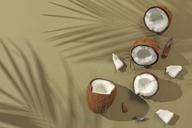 Taze hindistan cevizleri ve açık yeşil arka planda tropikal palmiyelerin oluşturduğu gölgeler düzleşir. Metin için boşluk