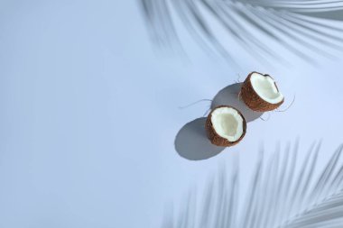 Taze hindistan cevizi ve açık gri arka planda tropikal palmiye gölgesi, üst manzara. Metin için boşluk