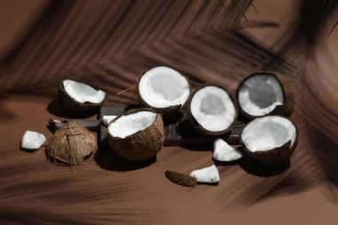 Kahverengi arka planda tropikal palmiyelerin taze hindistan cevizleri ve gölgesi