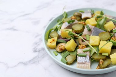 Beyaz mermer masada ringa balıklı nefis salata, yakın plan. Metin için boşluk