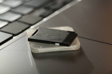 SD hafıza kartı ve dizüstü bilgisayarda sahibi, yakın plan