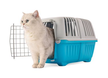 Evcil hayvan taşıyıcısındaki şirin kedi beyazda izole edilmiş.