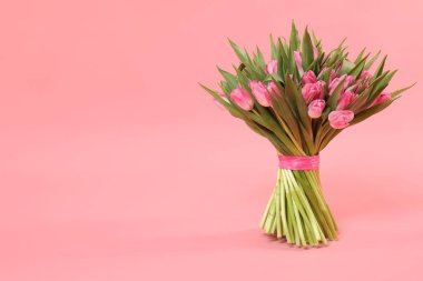 Pembe zemin üzerinde güzel laleler buketi, metin için boşluk