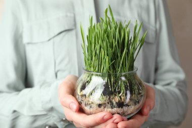 Arka planda şeffaf tencerede buğday çimeni olan kadın, yakın plan.