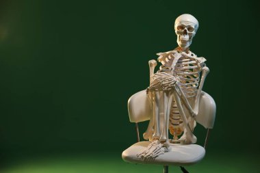 Artificial human skeleton model sitting on chair against green background, space for text