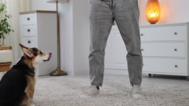 Adam köpeğini evde eğitiyor, yakın plan.