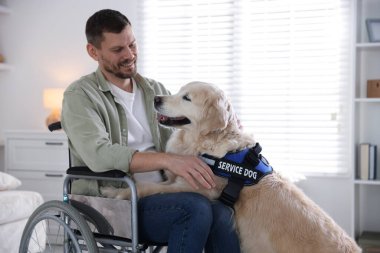 Tekerlekli sandalyedeki adam ve hizmetli köpeği evde. Metin için boşluk