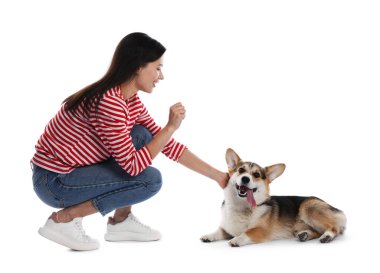 Mutlu kadın köpeğini beyaz arka planda eğitiyor.