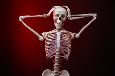 Yapay insan iskeleti modeli. Karanlık arka planda neon ışıklarda.