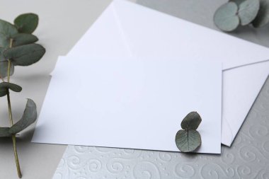 Boş tebrik kartı, kağıt zarf ve okaliptüs yaprakları açık gri arkaplanda, yakın plan