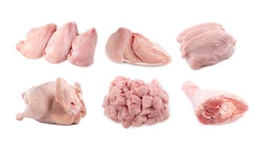 Beyazlara ayrılmış taze çiğ hindi eti.