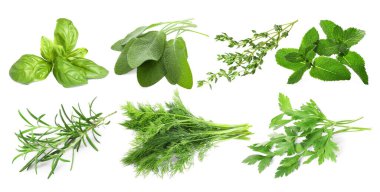 Beyaz arka planda farklı aromatik otlar, kolaj