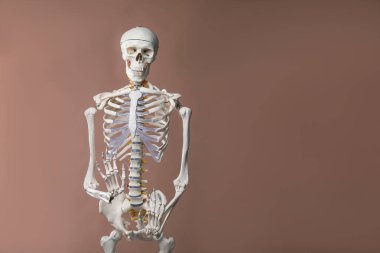 Açık kahverengi arkaplan üzerinde yapay insan iskelet modeli, metin için boşluk