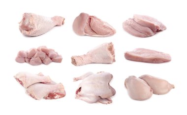 Beyazlara ayrılmış taze çiğ hindi eti.