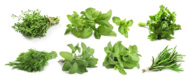 Beyaz arka planda farklı aromatik otlar, kolaj