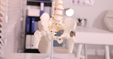 Klinikteki insan omurga modeli, kamera yükseliyor.