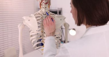 Doktor klinikteki insan omurga modeline işaret ediyor.
