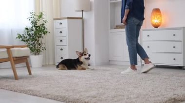 Kadın sevimli köpeğini evde eğitiyor, yakın plan.