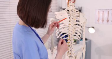 Doktor klinikteki insan iskeleti modelini işaret ediyor.