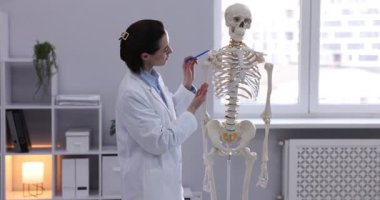 Doktor klinikteki insan iskeleti modelini işaret ediyor.